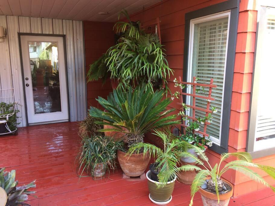 Serenity House Near Gaslamp, San Diego Zoo & Petco 외부 사진